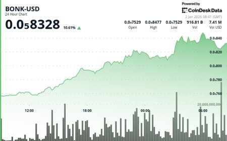 BONK jumps more than 10% in 24 hours as momentum pushes price higher