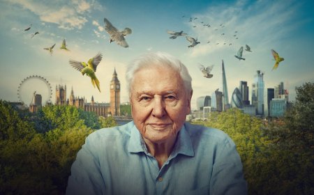 Sir David Attenborough explores the surprising wildlife of London