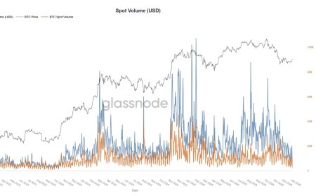 Bitcoin rally masks fragile liquidity as spot volumes hit year-long lows