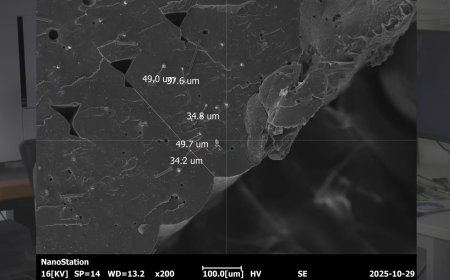 Co-Extrusion Carbon Fiber FDM Filament Investigated