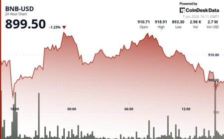 BNB falls below $900 even after network upgrade, ecosystem developments as market declines