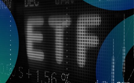 Bitcoin ETFs Just Had Their Best Day in Months as Crypto Market Rebounds