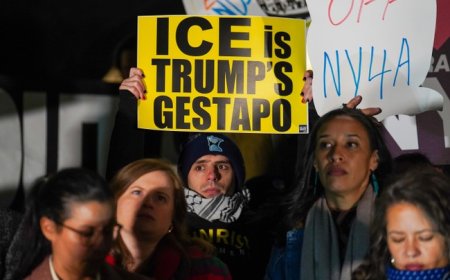 Homan: I Won't Make a Judgment Call Before the Investigation – And Why Would Anyone Else?