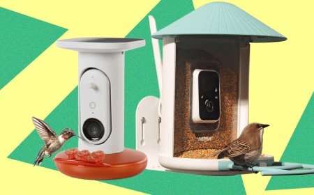 Best Bird Feeders With Cameras, Tested and Reviewed (2026)