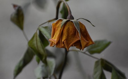 Bitcoin ETF optimism fades as three-day outflows streak erases early-month gains