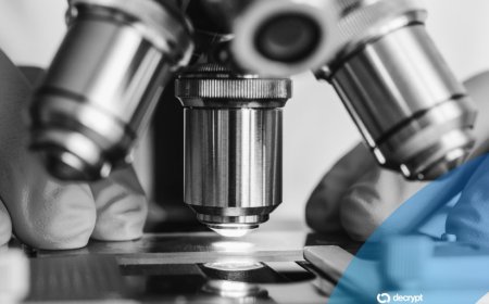 Scientists Crammed a Computer Into a Robot the Size of a Grain of Salt