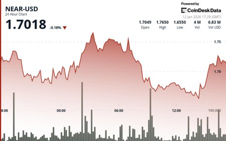 NEAR rises 5.7% to $1.73 before giving back gains