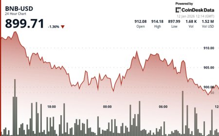 BNB slides to $900 as traders look to havens