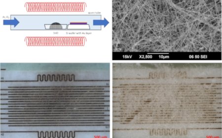 Electronic Nose Sniffs out Mold