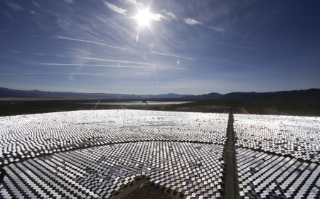 California to Keep Bird Broiling Solar Plant in Operation