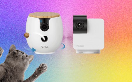 10 Best Pet Cameras (2026), Tested With Our Pets