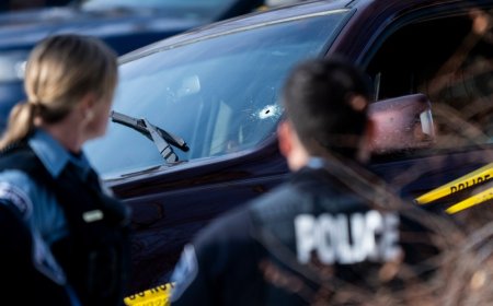 Career DOJers Resign Over Handling of Fatal ICE Shooting