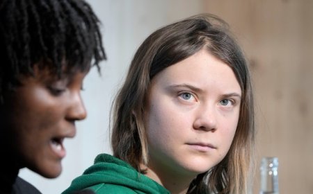 Axios: Say, Does Anyone Remember When Global Warming Was a Thing?