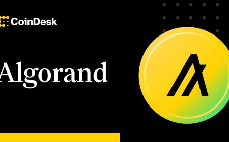 Algorand Foundation returns to U.S. amid friendlier crypto regulation under Trump