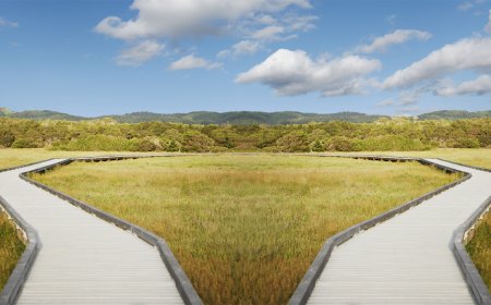 What Leaders Get Wrong About Strategic Alignment