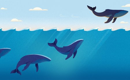 Weave Mentorship into the Fabric of Your Organization