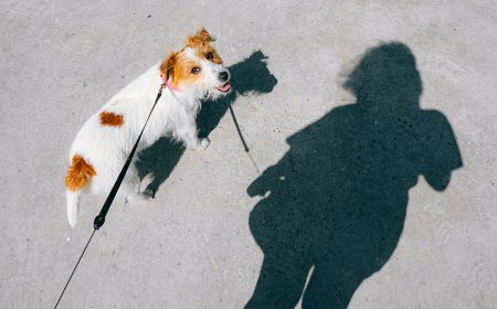 To Execute a Unified Strategy, Leaders Need to Shadow Each Other