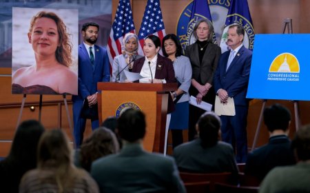 What Do Elected Democrats Actually Plan to Do About ICE?