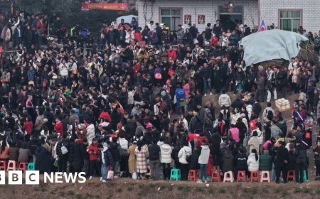 Chinese woman's plea for help killing pigs draws thousands to her village