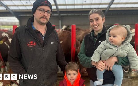 'We're in survival mode': The cost of milk price crisis to family dairy farms