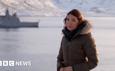 Troops and vessels from European Nato allies arrive in Greenland