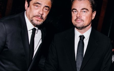 Star Seize Chance to Speak Out at Night Honoring Leonardo DiCaprio