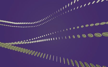 Manage Your AI Investments Like a Portfolio