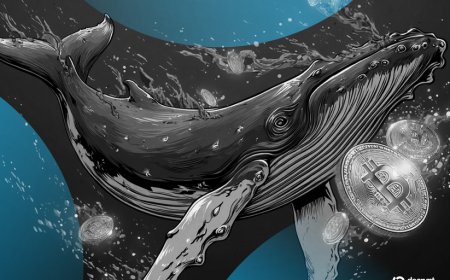 New Bitcoin Whales Outpace Old Guard in $6B Supply Tug-of-War