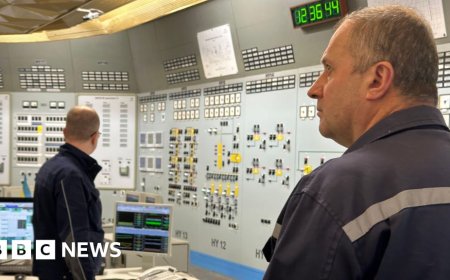 Ukraine is battling to keep the lights on, this nuclear plant is vital in the fight