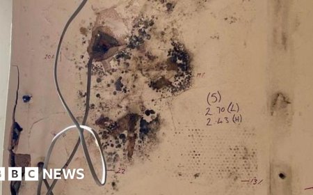 Botched insulation scheme was 'doomed to fail', say MPs