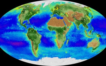 Real Mann of Science™ Ordered to Settle His Markers With Mark and Rand