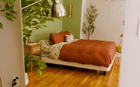 I Thought Accent Walls Were "So Over" Until I Saw This