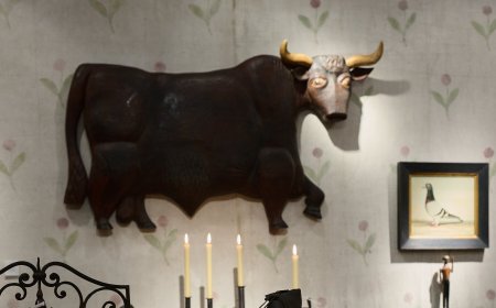 These Objects Will Draw You Out of the Cold