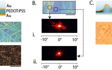 Polymer Skins That Change Color and Texture When Exposed to Water