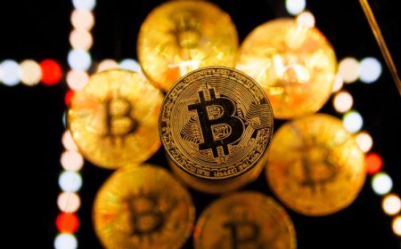 How ‘Bitcoin Jesus’ Avoided Prison, Thanks to One of the ‘Friends of Trump’