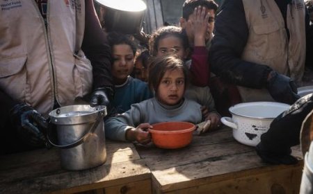 Cold kills another infant in Gaza as West Bank displacement intensifies