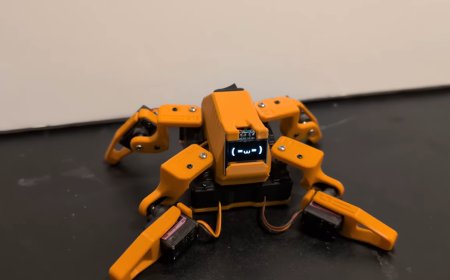 Building A Little Quadruped Robot