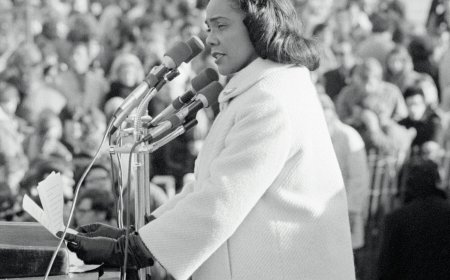 Book Review: ‘Until the Last Gun Is Silent,’ by Matthew F. Delmont