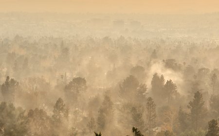 Who Decides When a Home Is Safe? A California Bill Says Science, Not Insurers.