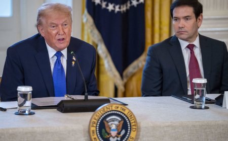 Even Marco Rubio Is Scared Of Donald Trump -- Here's Why