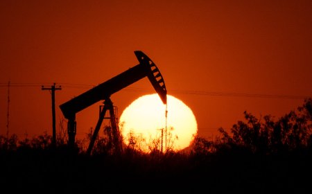 U.S Has Officially Withdrawn From the Paris Climate Accord