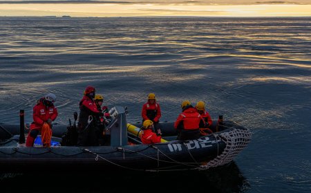 An Antarctic Mission to Recover a Robot’s Data