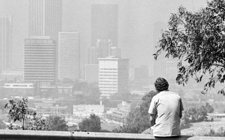 What’s a Human Life Worth? The E.P.A. Says Zero Dollars.