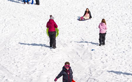 No Snow Day? In New York City Parks, It Felt Like One.