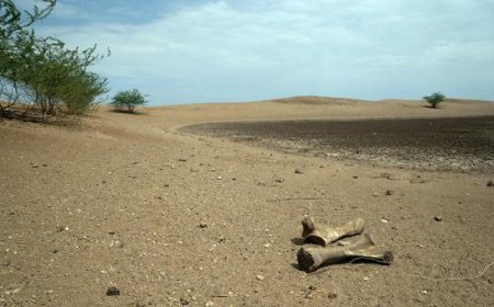 World enters era of ‘global water bankruptcy’