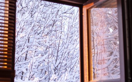 Should We All Be ‘House Burping’?