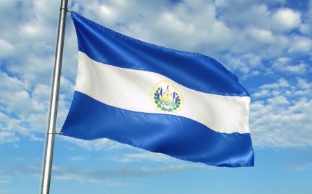 El Salvador's central bank buys $50 million of gold as government keeps adding bitcoin