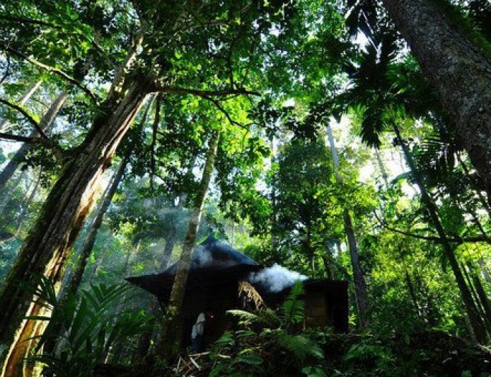 Paper and wood: Forest products show signs of recovery, UN agency says