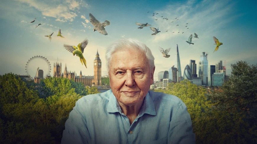 Sir David Attenborough explores the surprising wildlife of London