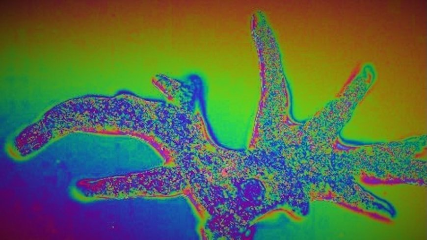 Ethereum bumps blob capacity as it gears for Fusaka upgrade